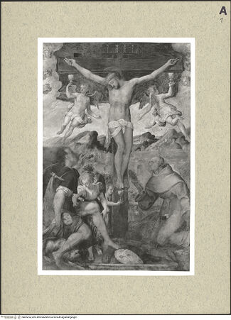 Vorderseite von bh495254_recto