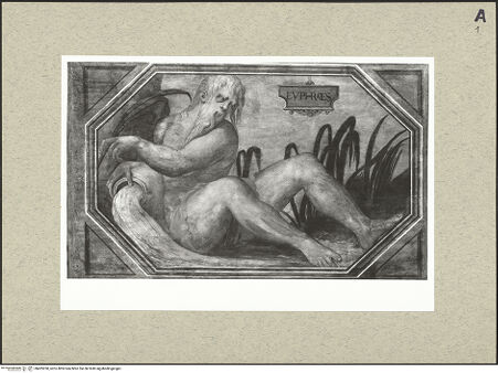 Vorderseite von bh495260_recto