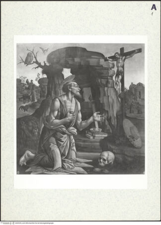 Vorderseite von bh495292_recto