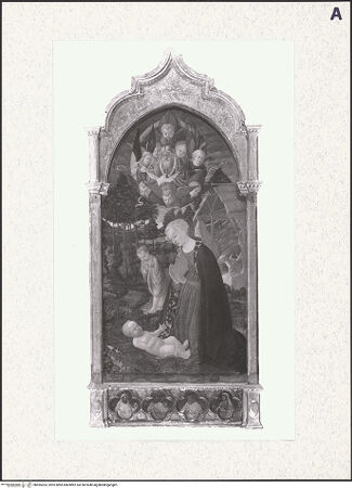 Vorderseite von bh495303_recto