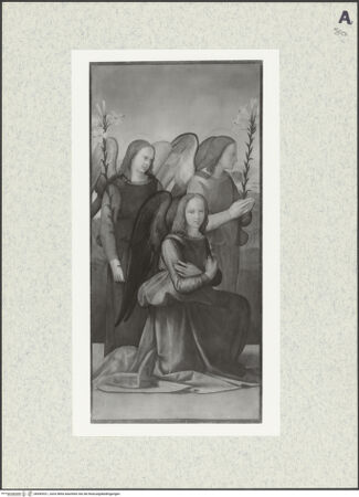 Vorderseite von bh495321_recto