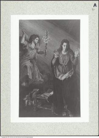 Vorderseite von bh495328_recto