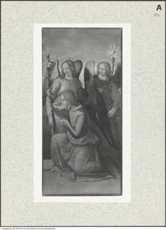 Vorderseite von bh495330_recto