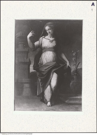 Vorderseite von bh495338_recto