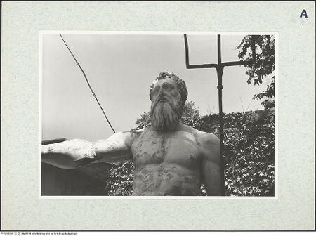 Vorderseite von Bibliotheca Hertziana [https://www.deutsche-digitale-bibliothek.de/content/lizenzen/rv-fz/] Neptun vom Neptunbrunnen - Detail: Oberkörper, bh495370_recto. Foto: Kruft, Hanno-Walter.