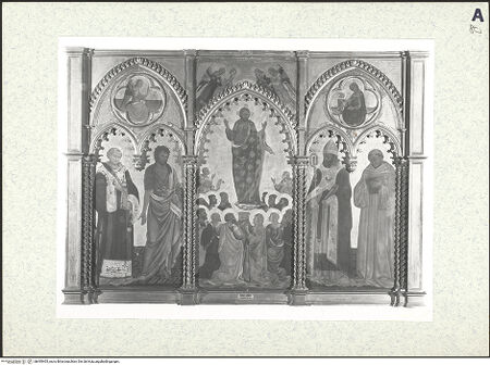 Vorderseite von bh495405_recto