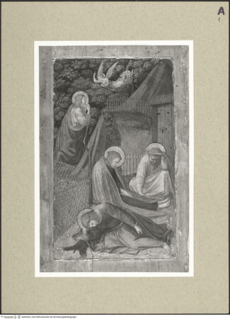 Vorderseite von bh495422_recto