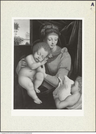 Vorderseite von bh495439_recto