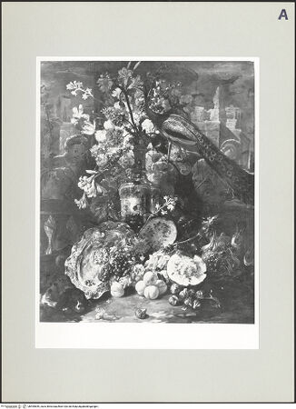 Vorderseite von bh495659_recto