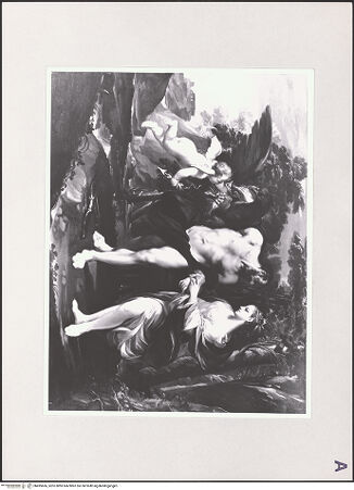 Vorderseite von bh495666_recto