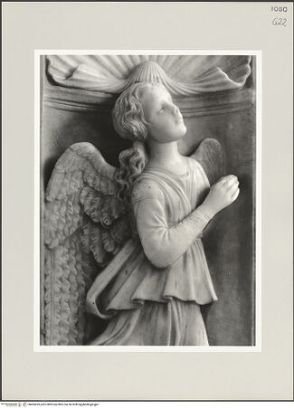 Vorderseite von bh495699_recto