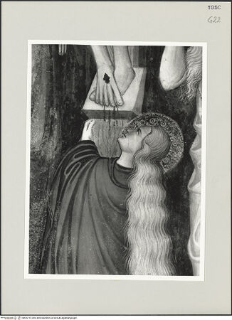 Vorderseite von bh495719_recto