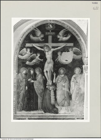 Vorderseite von bh495720_recto