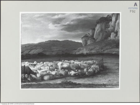 Vorderseite von bh495841_recto