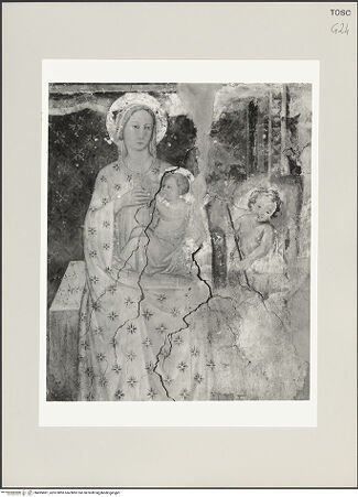 Vorderseite von bh495881_recto