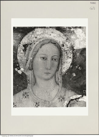 Vorderseite von bh495882_recto