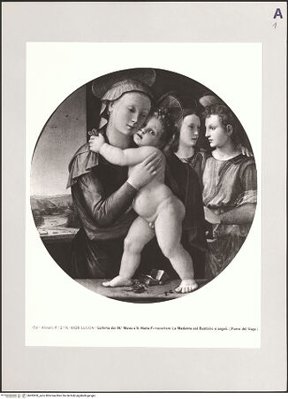 Vorderseite von bh495920_recto