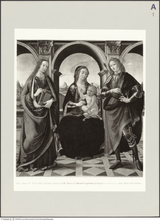 Vorderseite von bh495922_recto