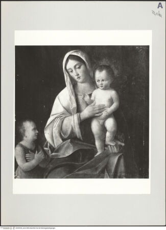 Vorderseite von bh495926_recto