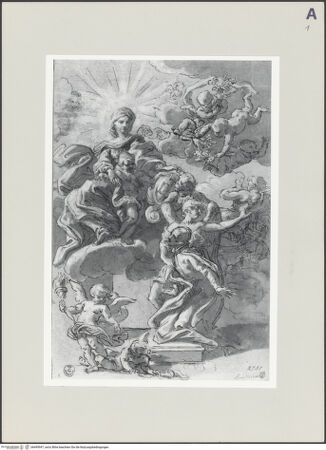 Vorderseite von bh495947_recto