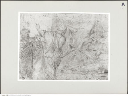 Vorderseite von bh496082_recto