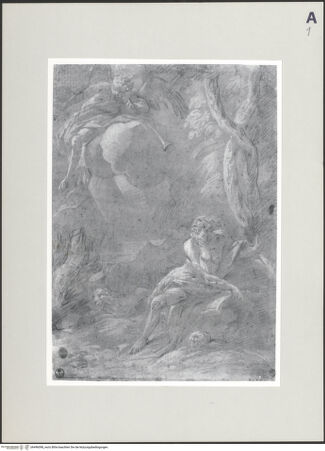 Vorderseite von bh496098_recto