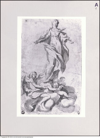 Vorderseite von bh496103_recto