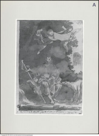 Vorderseite von bh496123_recto