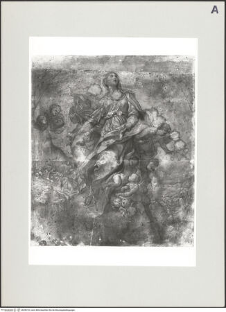 Vorderseite von bh496125_recto