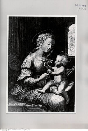 Vorderseite von unbekannt [http://creativecommons.org/publicdomain/mark/1.0/] Die Madonna mit der Nelke - , bh496148. Foto: Hutzel, Max.