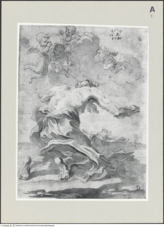 Vorderseite von bh496252_recto