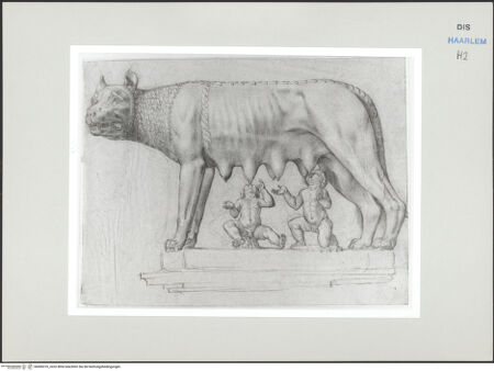 Vorderseite von Teylers Museum [http://creativecommons.org/publicdomain/mark/1.0/] Römische StudienmappeLupa Capitolina - , bh496316_recto. Foto.