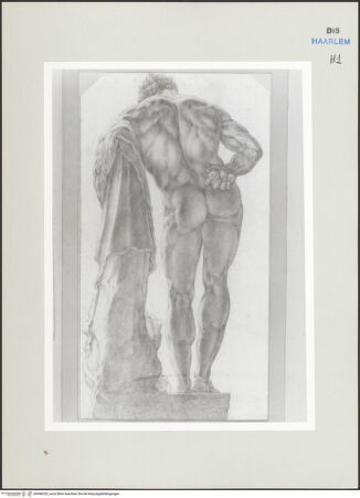 Vorderseite von Teylers Museum [http://creativecommons.org/publicdomain/mark/1.0/] Römische StudienmappeHerkules Farnese - , bh496320_recto. Foto.