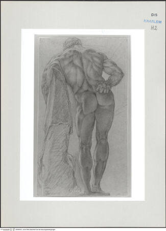 Vorderseite von Teylers Museum [http://creativecommons.org/publicdomain/mark/1.0/] Römische StudienmappeHerkules Farnese - , bh496321_recto. Foto.