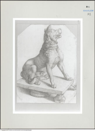 Vorderseite von Teylers Museum [http://creativecommons.org/publicdomain/mark/1.0/] Römische StudienmappeCanis Molossus - , bh496333_recto. Foto.