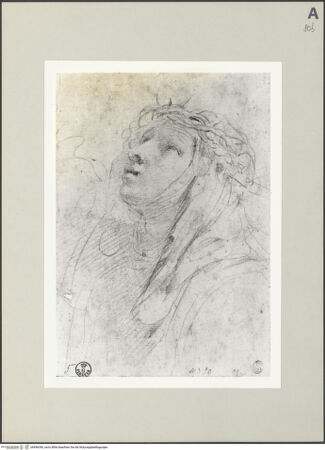 Vorderseite von bh496346_recto