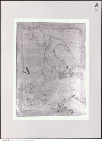 Vorderseite von bh496373_recto