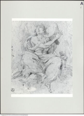 Vorderseite von bh496618_recto