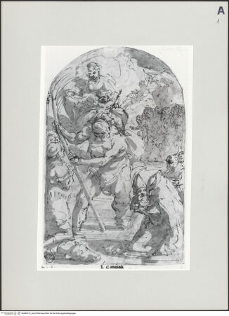 Vorderseite von bh496619_recto