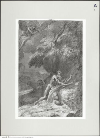 Vorderseite von bh496649_recto