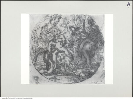 Vorderseite von bh496656_recto