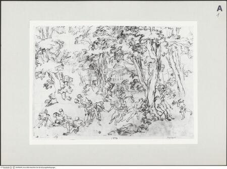 Vorderseite von bh496669_recto