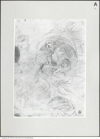 Vorderseite von bh496685_recto