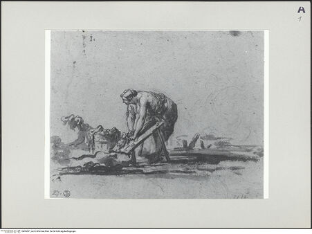 Vorderseite von bh496691_recto