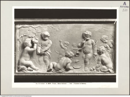 Vorderseite von bh496813_recto