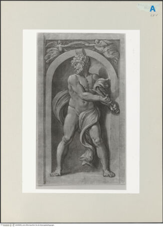 Vorderseite von Haarlem, Teylers Museum [https://www.deutsche-digitale-bibliothek.de/content/lizenzen/rv-ez/] Pluto, nach Polidoro - , bh496896_recto. Foto.