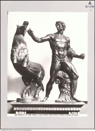 Vorderseite von bh496901_recto