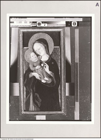 Vorderseite von bh496926_recto