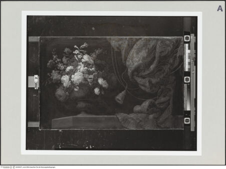 Vorderseite von bh496927_recto