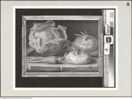 Vorderseite von bh496930_recto